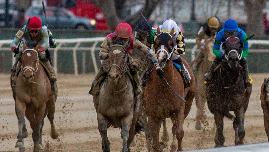 Gotham Stakes, Aqueduct, Kentucky Derby, Triple Crown, America's Best Racing, horse racing, ABR Gotham Stakes, Aqueduct, Kentucky Derby, Triple Crown, America's Best Racing, horse racing, ABR